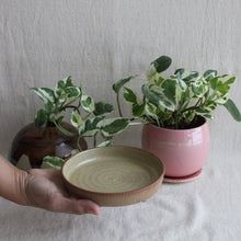 Load image into Gallery viewer, Prthvi Snack Plate - Speckled Beige