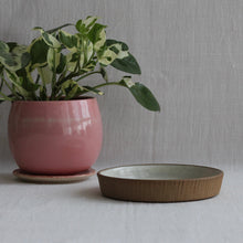 Load image into Gallery viewer, Prthvi Snack Plate - Speckled White