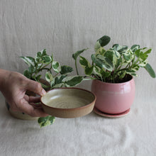 Load image into Gallery viewer, Prthvi Dessert Plate Speckled Beige